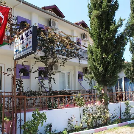 Alinda Dalyan