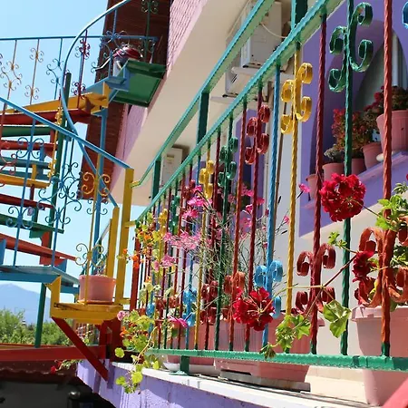 汽车旅馆 Alinda 达利安